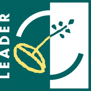 logo-leader-plus
